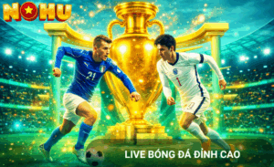 Soi kèo nhà cái Nohu90