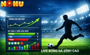 Trang cá độ bóng đá uy tín Nohu90